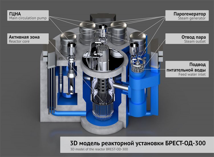 3D model of the reactor BREST-OD-300