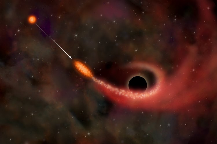 Tidal disruption event of a star in the gravitational field of a supermassive black hole in the artist’s view