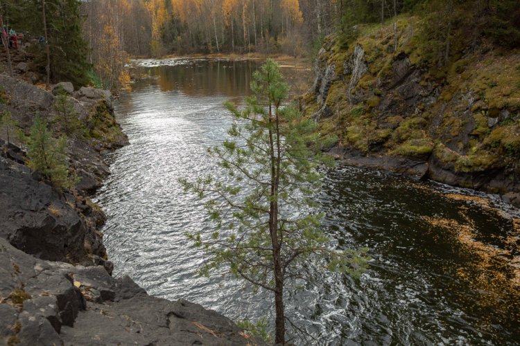 The territory around the falls is forever unavailable for economic use and this above all is to preserve the taiga.