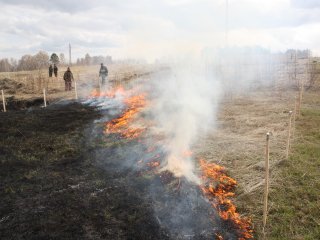 Organization of controlled burning to put out a ground wildfire
