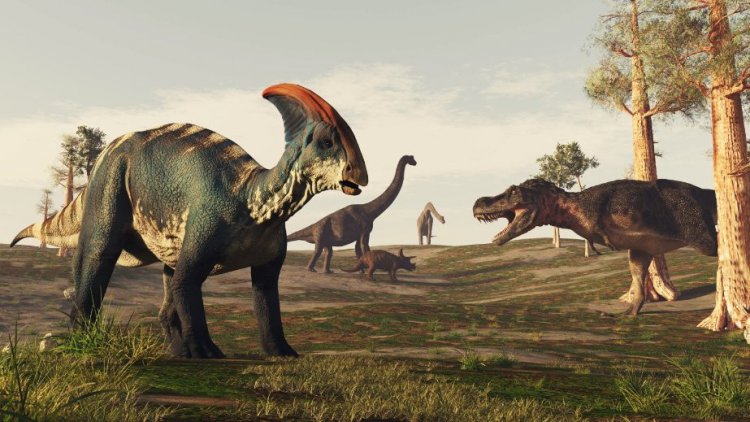 The best-known extinction events are the Permian-Triassic (End-Permian) Extinction and Cretaceous–Paleogene (End-Mesozoic) Extinction, in the course of which 75% - 90% of animal species died out. Such mass extinction events renewed the biota and altered general organic evolution patterns. Photo source: photo bank 123RF.