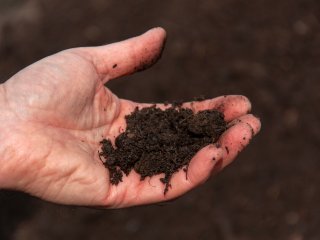 Photo: soprety / ru.123rf.com
