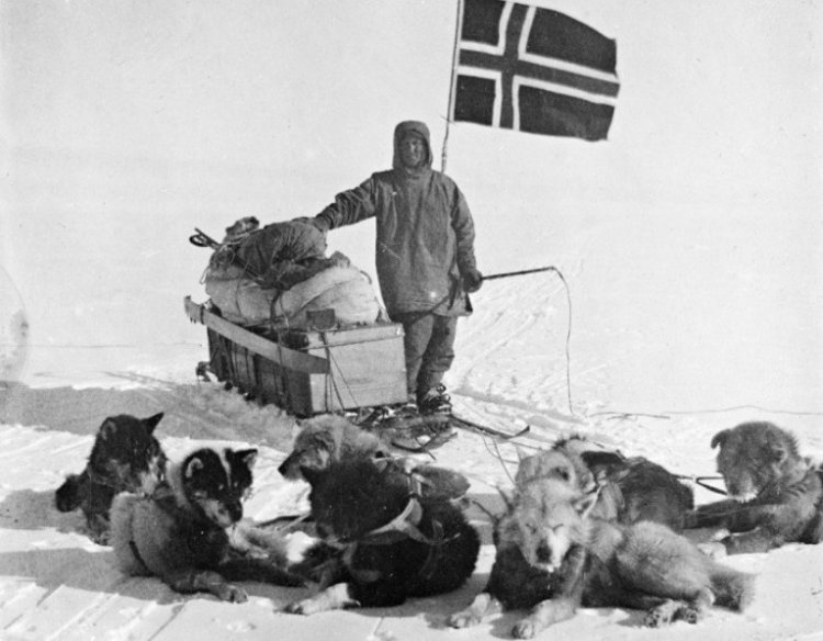 В 1911 г. Руал Амундсен открыл Южный полюс