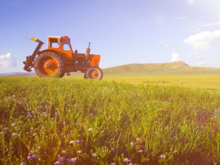 The most important direct driver of biodiversity loss in terrestrial systems in the last several decades has been land-use change and excessive exploitation of resources. Photo: rawpixel / 123RF