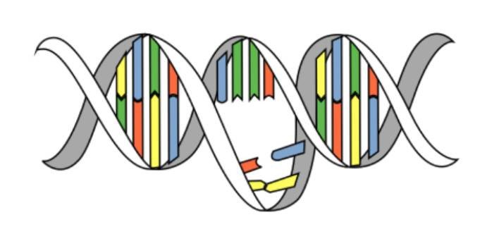 Artistic illustration of a mutated gene. Source: Wikipedia