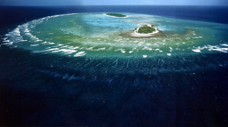 11 июня 1770 года был открыт Большой Барьерный риф