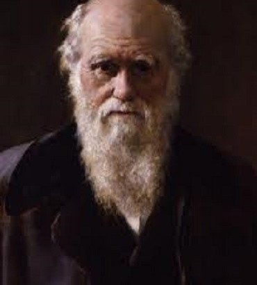 24 ноября 1859 года Чарльз Дарвин опубликовал книгу «Происхождение видов путем естественного отбора, или сохранение благоприятствуемых пород в борьбе за жизнь»