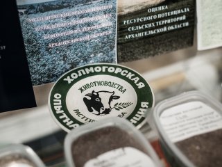 COLD SOIL. V.V. GINTOV, DIRECTOR OF THE ARKHANGELSK AGRICULTURAL RESEARCH INSTITUTE, TALKS ABOUT AGRICULTURE IN ARCTIC CONDITIONSВ Архангельском НИИ сельского хозяйства ФИЦ КИА УрО РАН.