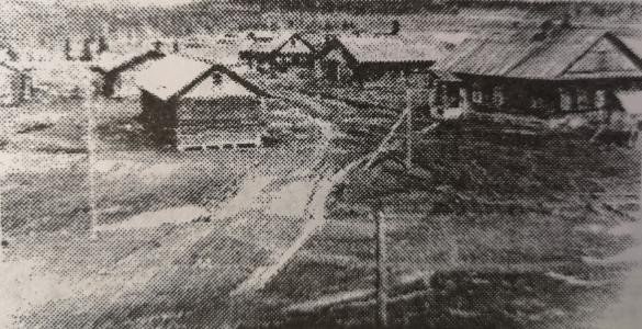 Pictured: the farm of the experimental station. The 1940s. Photo source: National Library of the Komi Republic.