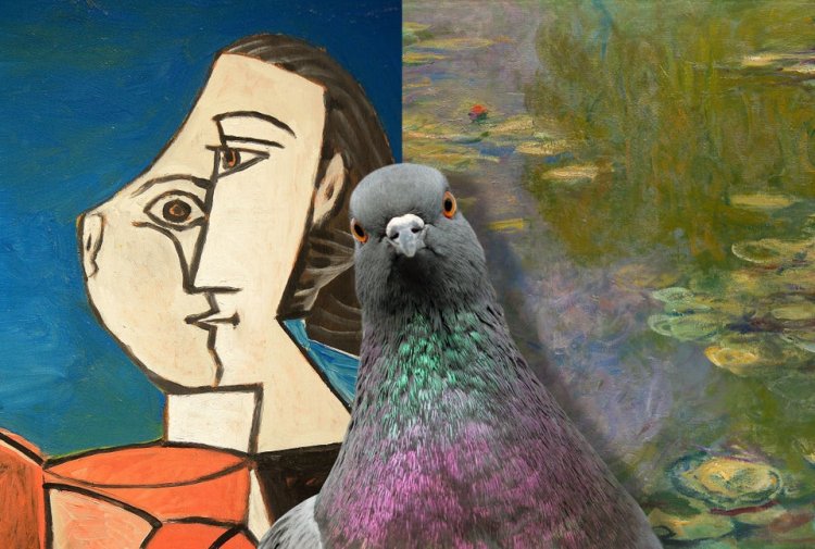 In 1995, three scientists from Keio University (Japan) received the Ig Nobel Prize in Psychology. In their experiment, scientists demonstrated that pigeons can effectively distinguish between painting styles. In the experiment, the birds were taught to distinguish Monet’s canvases from Picasso’s paintings. A few years later, the scientists published a series of papers in the authoritative journal Animal Cognition, and no one laughed at their research anymore. Photo source: Reddit.com