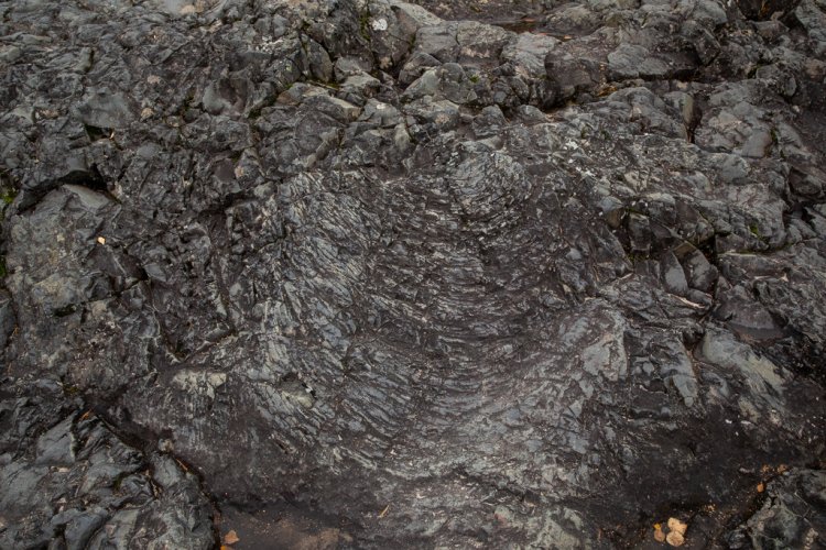 Traces of basalt lava flow, Girvas volcano.