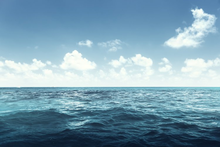 Photo: iakov / ru.123rf.com