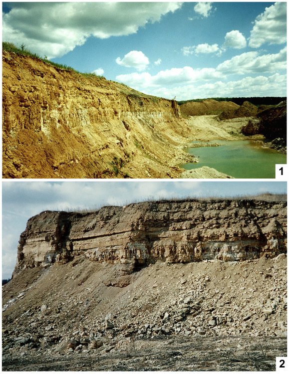 Upper Carboniferous deposits exposed in the Afanasievsky quarry (by: Naugolnykh, 2017).