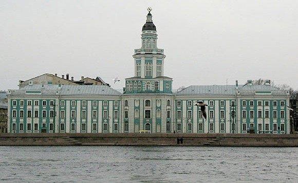 В 1714 г. Петр I учредил в Санкт-Петербурге Кунсткамеру