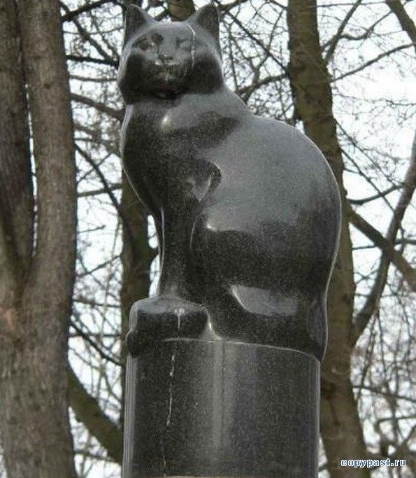 14 ноября 2002 года во дворе Санкт-Петербургского госуниверситета поставили памятник кошкам, отдавшим жизнь за науку 
