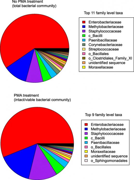 Taxonomic diversity of ISS’s microbiome identified using PCR Aleksandra Checinska Sielaff et al. / Microbiome
