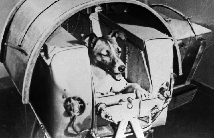 3 ноября 1957 года ТАСС сообщило о запуске  второго советского спутника с первым живым космонавтом на борту