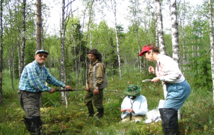 Peat sampling for botanical analysis at the Uchebnoye bog (Pryazhinsky district, Republic of Karelia).From left to right: O. L. Kuznetsov, S. A. Kutenkov, S. I. Grabovik, T. I. Brazovskaya. July 2004